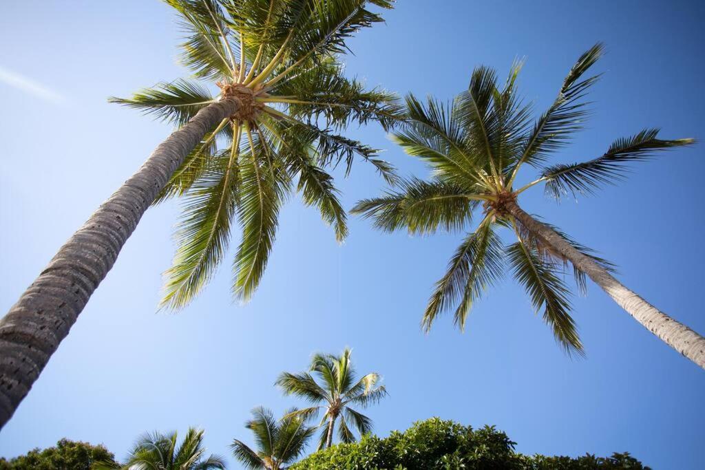 Airlie Sun & Sand Motel Accommodation #4 Airlie Beach Eksteriør bilde